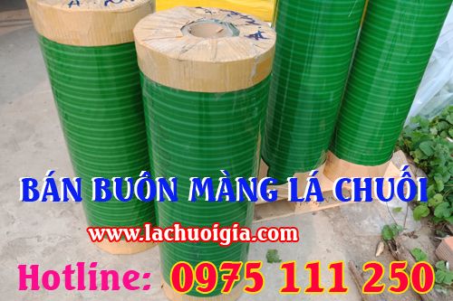 Chuyên Cung Cấp Lá Chuối Giả Giá Rẻ Tại Tphcm